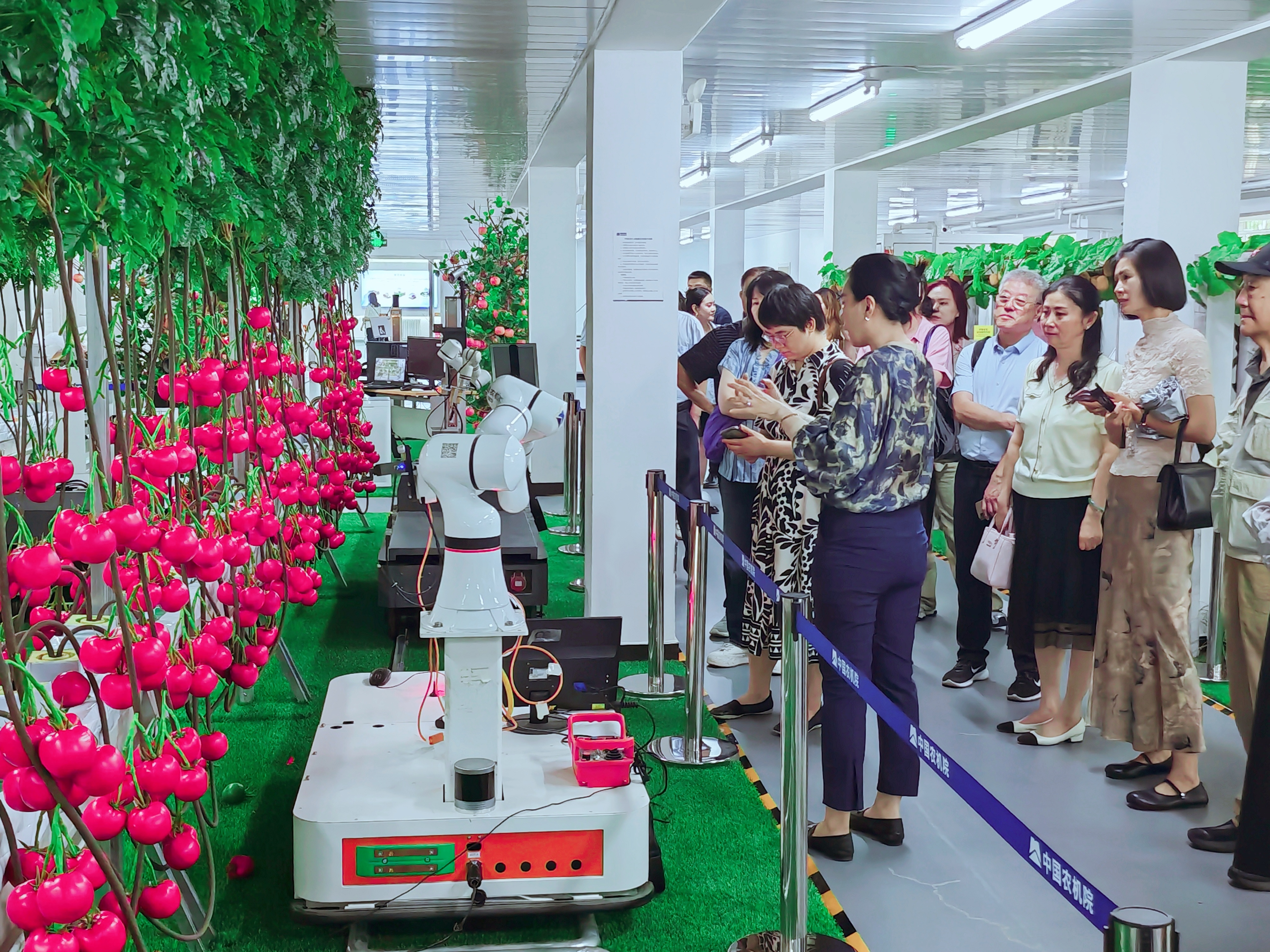 公海彩船6600(中国游)官方网站