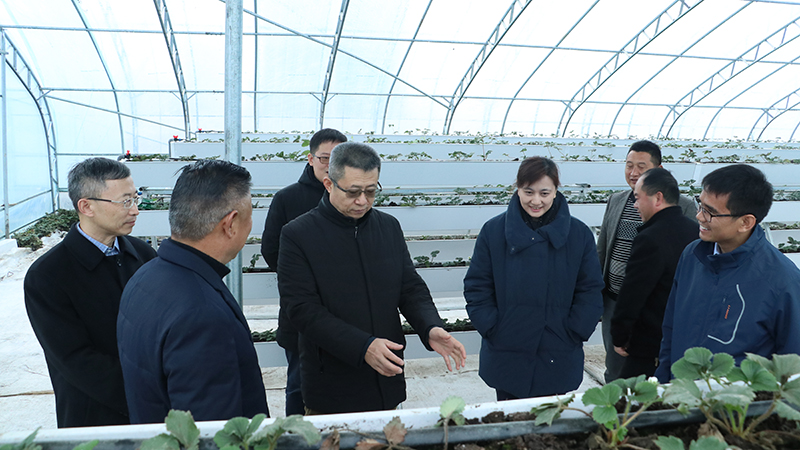 公海彩船6600(中国游)官方网站