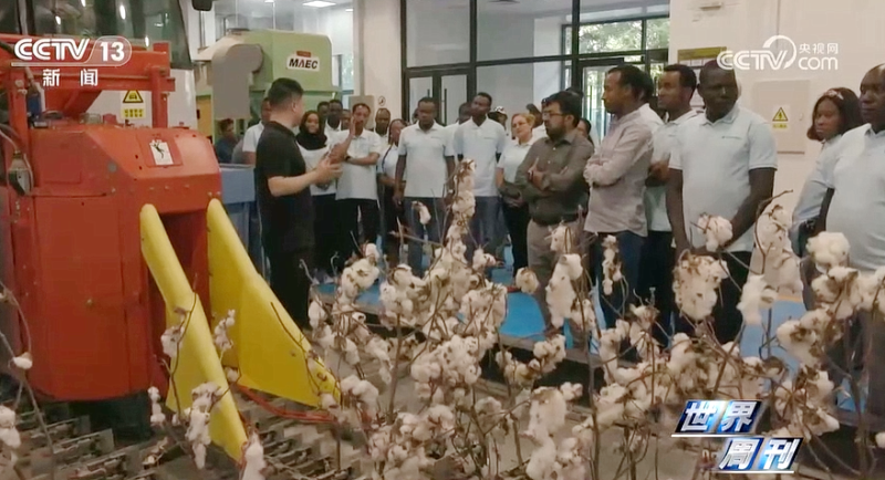 公海彩船6600(中国游)官方网站