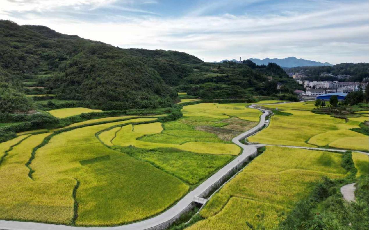 公海彩船6600(中国游)官方网站