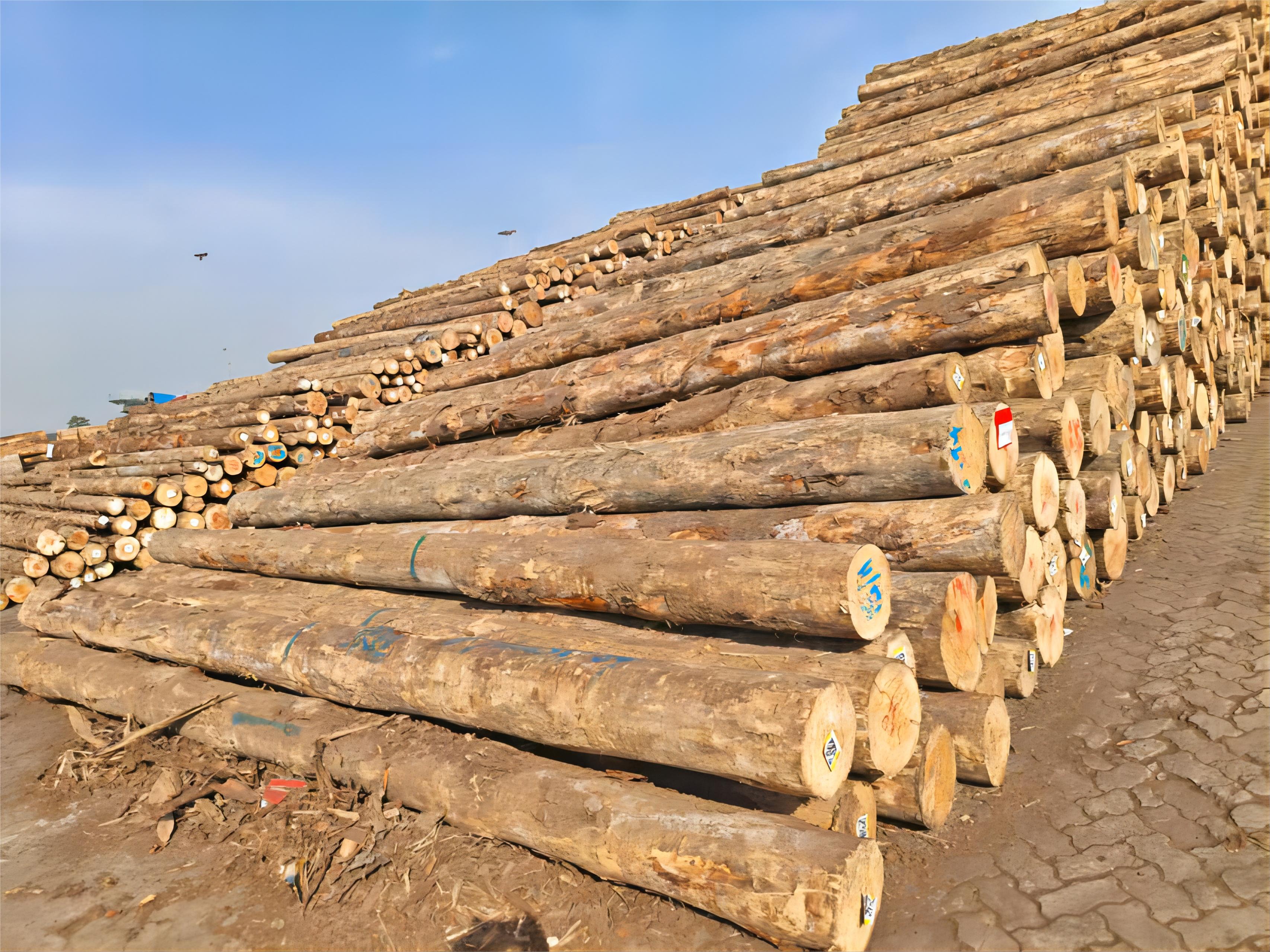 公海彩船6600(中国游)官方网站