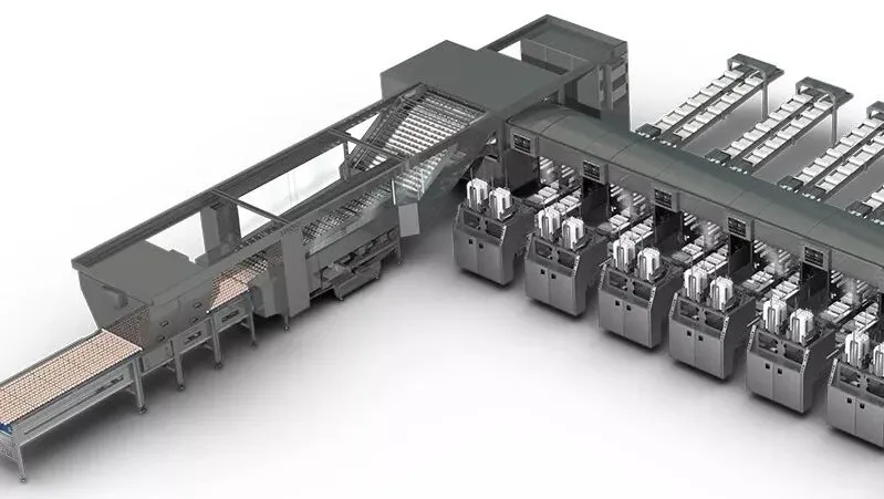 公海彩船6600(中国游)官方网站