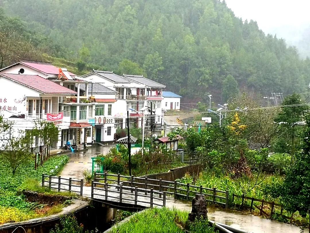 公海彩船6600(中国游)官方网站