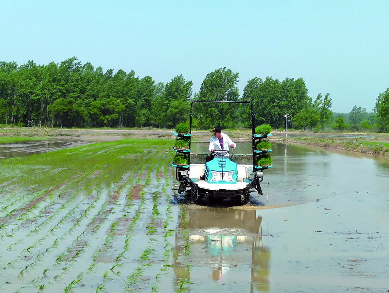 公海彩船6600(中国游)官方网站